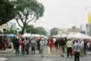 Solano Avenue Stroll Day